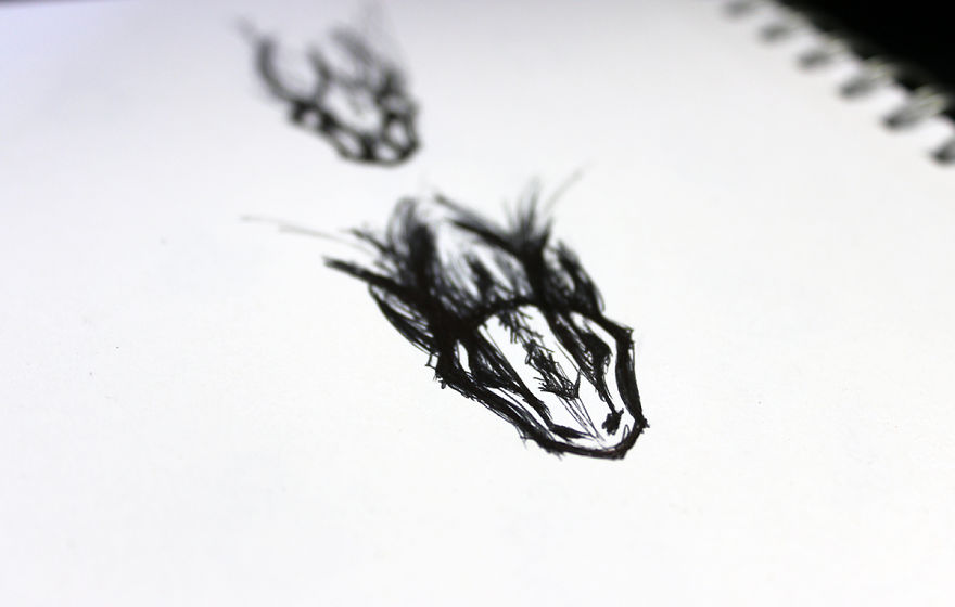 So... This Is How I Made A Dragon