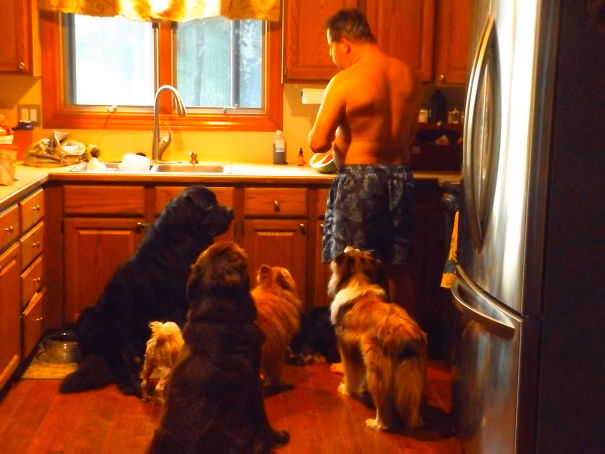 When Daddy Cuts Watermelon.