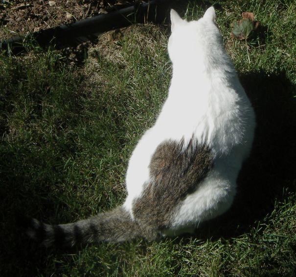 Maggie Had A Lot Of Love To Give (1999-2015)