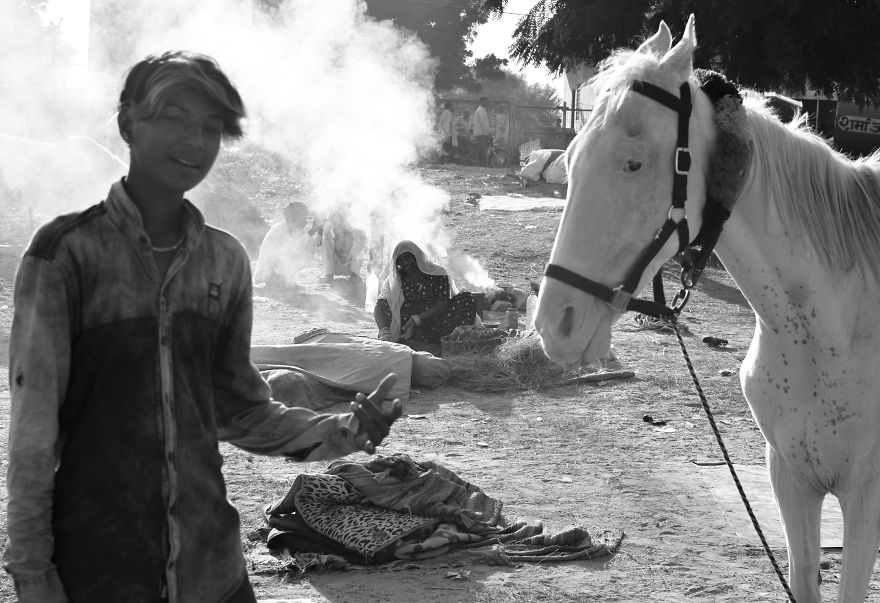 Sharing My Part To Stop Animal Abuse! What's Your?