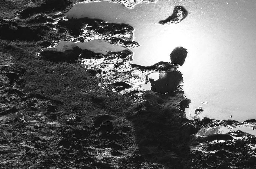 Sharing My Part To Stop Animal Abuse! What's Your?