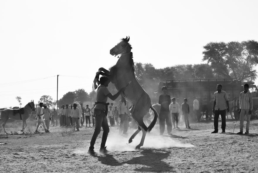 Sharing My Part To Stop Animal Abuse! What's Your?