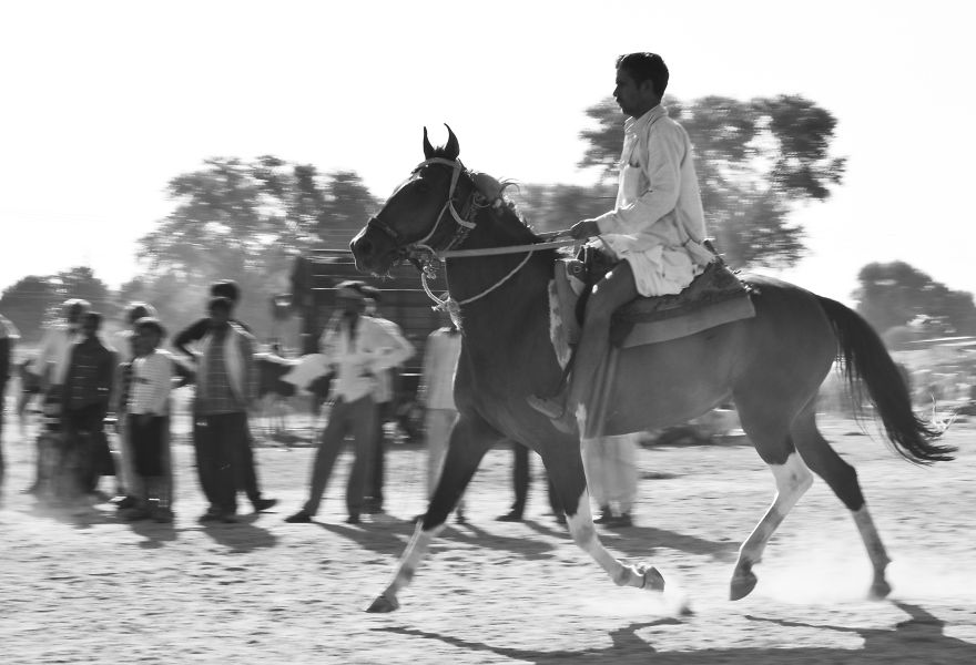 Sharing My Part To Stop Animal Abuse! What's Your?