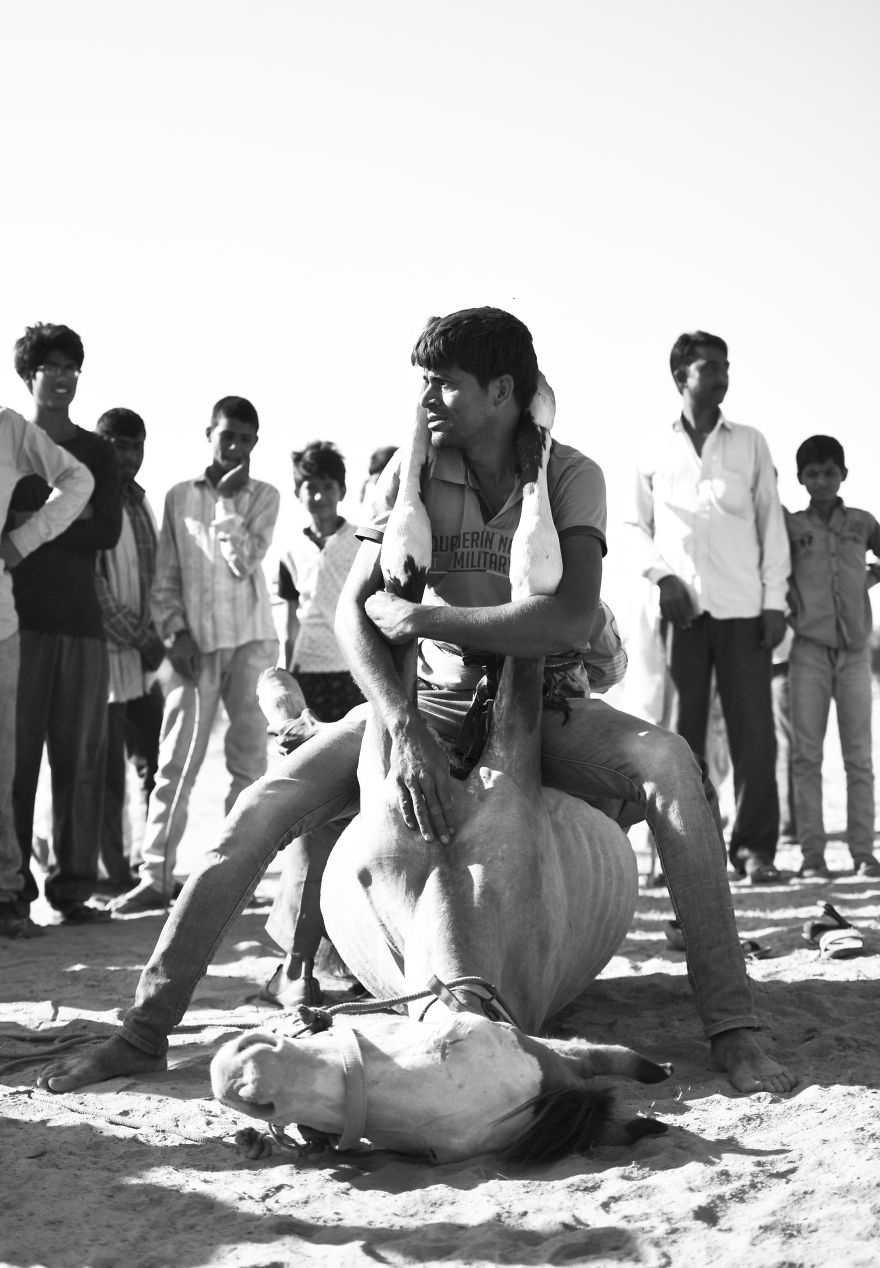 Sharing My Part To Stop Animal Abuse! What's Your?