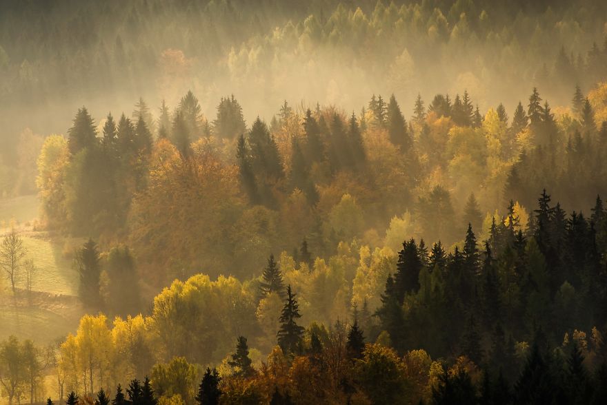 Amazing Autumn In The Polish Sudetes