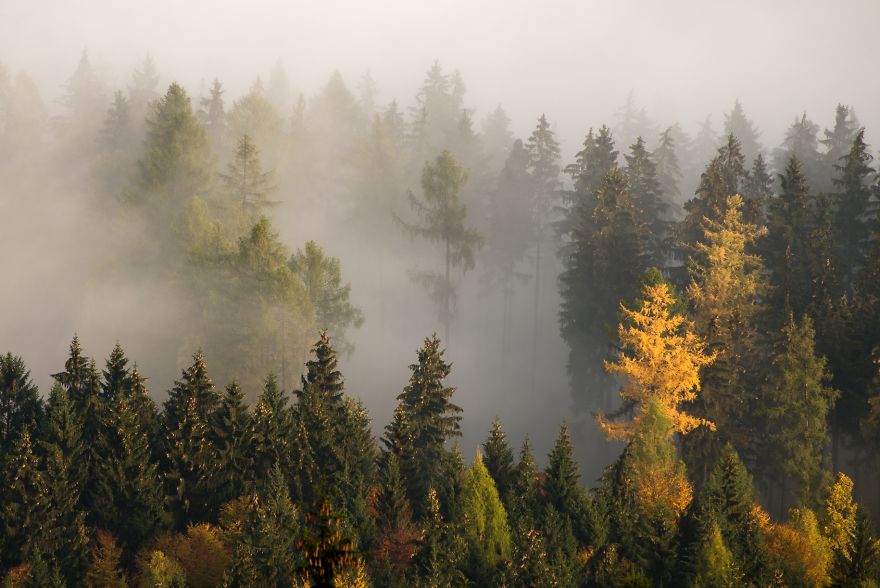 Amazing Autumn In The Polish Sudetes