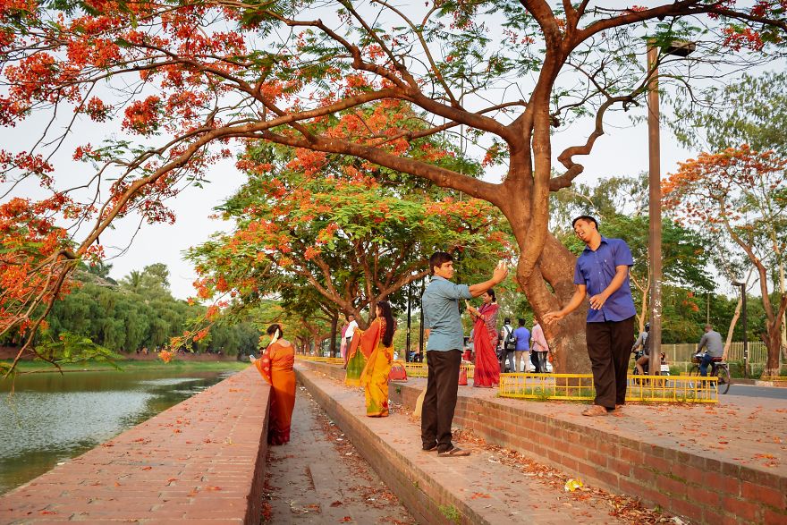 The Romantic Color Of The "Krishnachura"