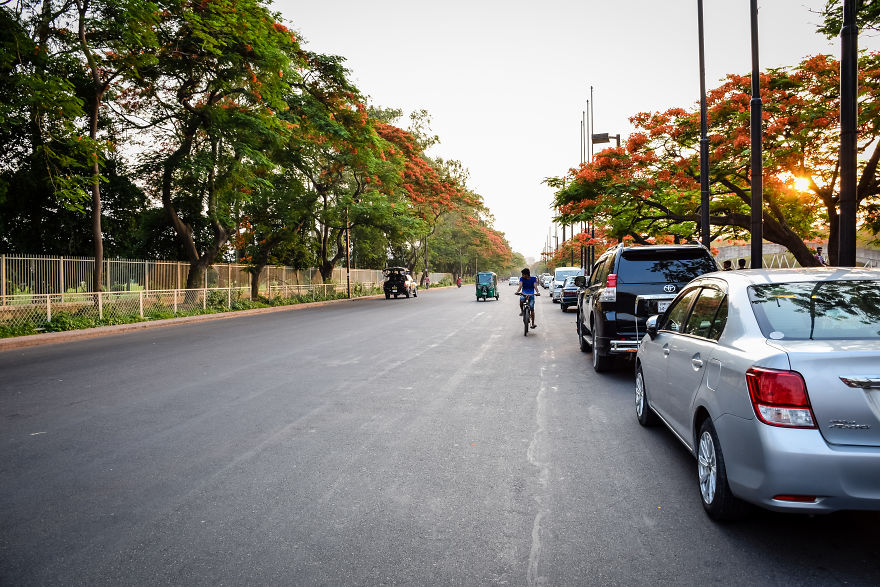 The Romantic Color Of The "Krishnachura"