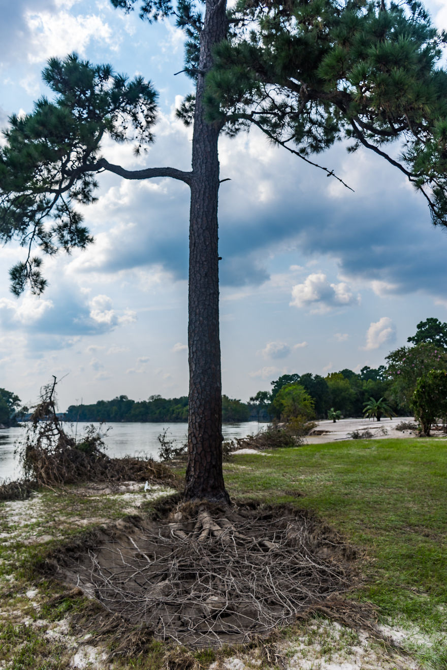 I Documented The Aftermath Of The Hurricane Harvey In North Houston (UPDATE) I Documented The Aftermath Of The Hurricane Harvey In North Houston (UPDATE)