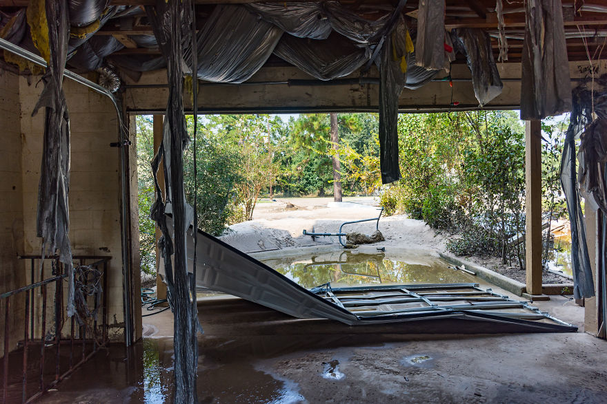 I Documented The Aftermath Of The Hurricane Harvey In North Houston (UPDATE) I Documented The Aftermath Of The Hurricane Harvey In North Houston (UPDATE)