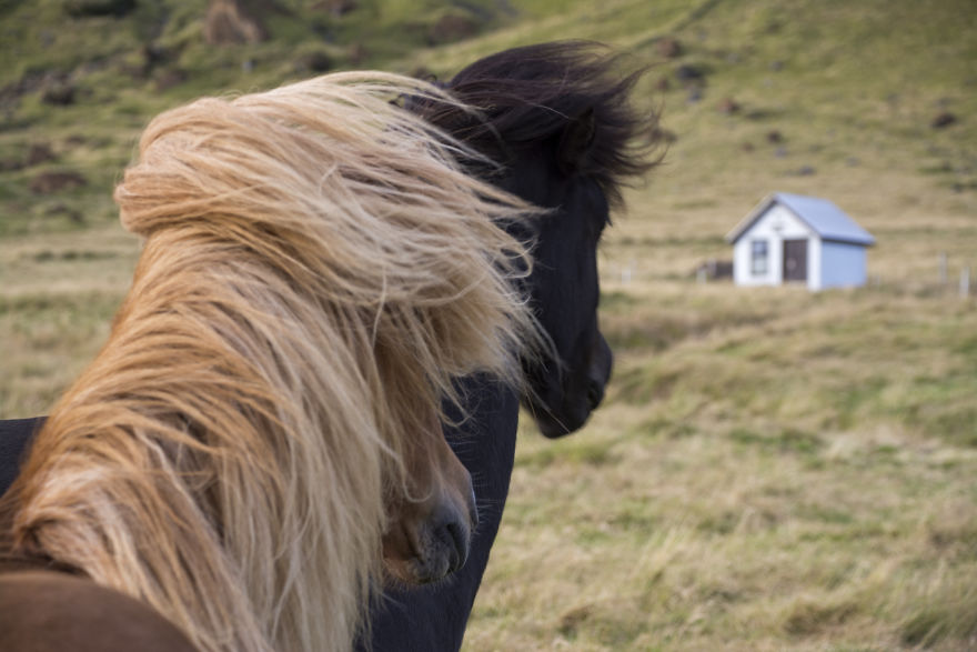 I Cannot Tell You How Beautiful Iceland Is. You Have 10+ Pictures To See It Yourself