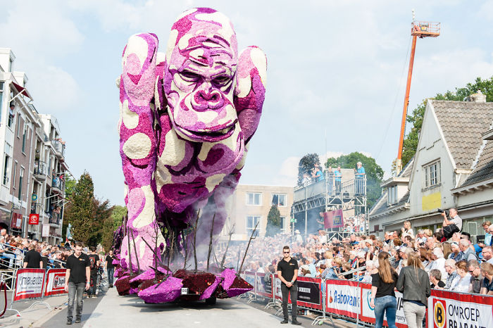 Every Year Corso Zundert, The Largest Flower Parade In The World, Occurs In The Netherlands
