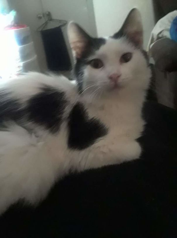 Ghost....she Has A Heart On