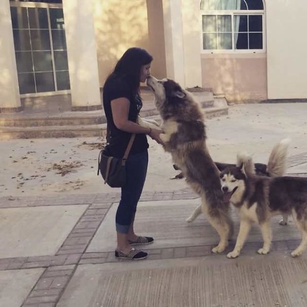 From A Jack London Book