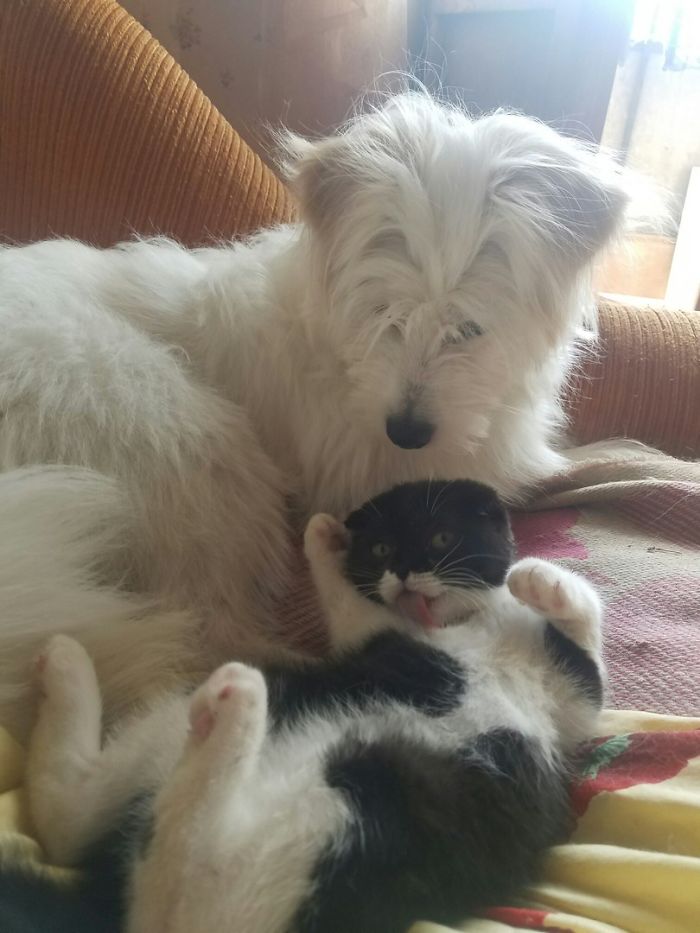 Sometimes It Seems To Me That I'm Just Superfluous In This Family.