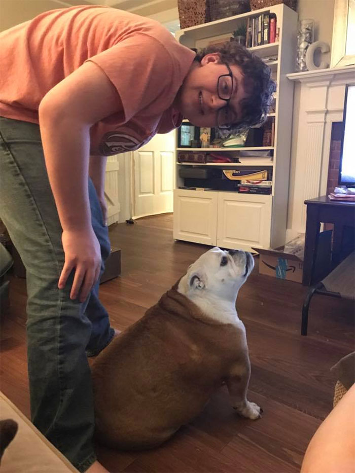 Person smiling at a bulldog in a cozy living room, illustrating that depression symptoms have no face.