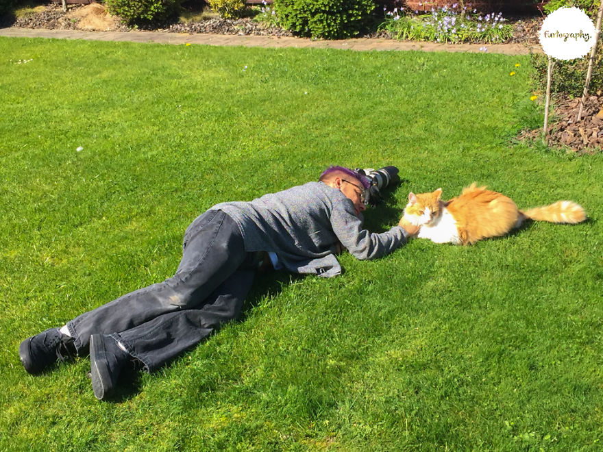 7 Years After Major Nz Earthquake, The 'Unknown Cat' I Wrote About In Quake Cats Book Is Found Alive & Well, Fully Recovered From Horrific Injuries. This Is His Story 7 Years After Major Nz Earthquake, The 'Unknown Cat' I Wrote About In Quake Cats Book Is Found Alive & Well, Fully Recovered From Horrific Injuries. This Is His Story