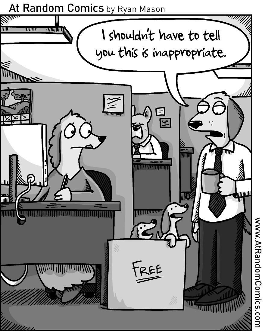 10+ Hilarious Comics From An Aspiring Cartoonist