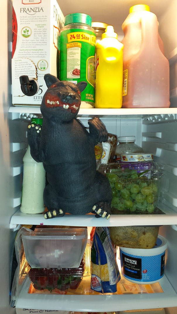 Fridge-Rat-59b824c7ee650.jpg