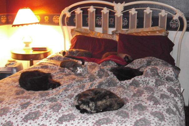 I Am Usually Clinging To About 6 Inches Of Edge.