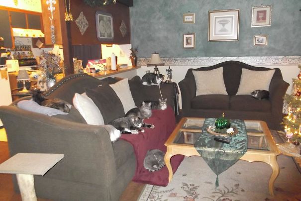 8 Of My 15 Neatly Arranged For Their First Group Photo.