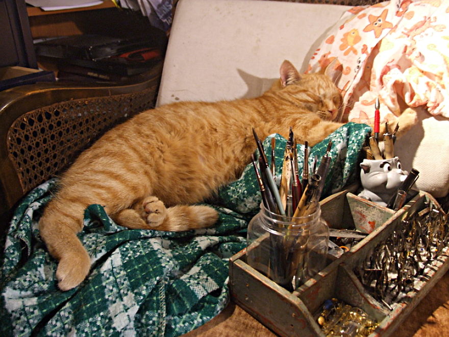 Helpful Paws In My Workshop #1