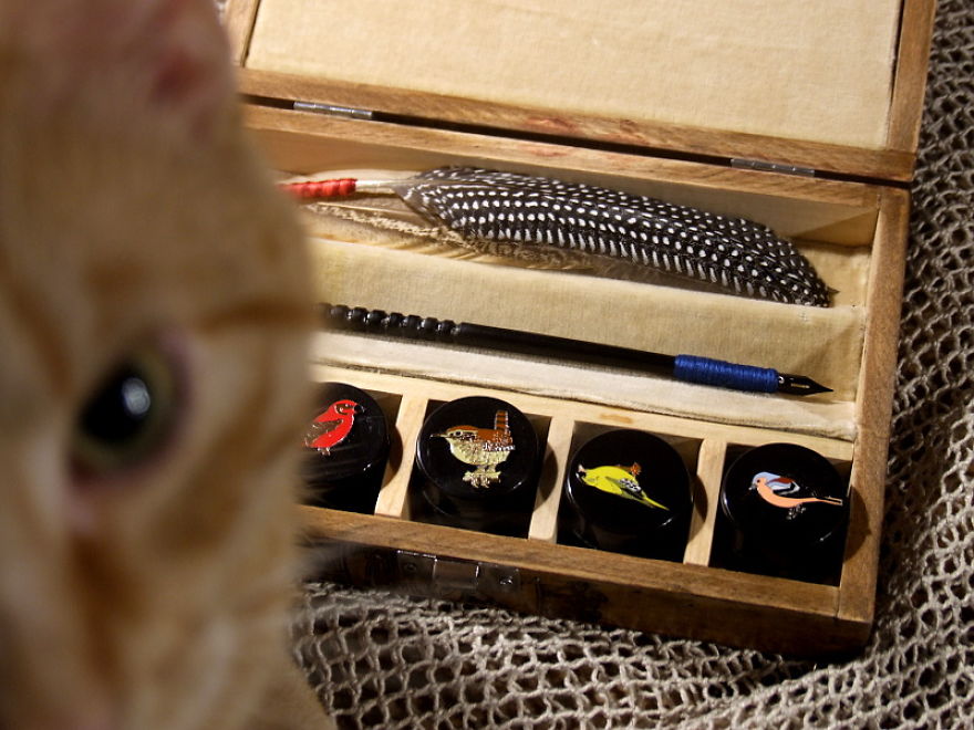 Helpful Paws In My Workshop #1