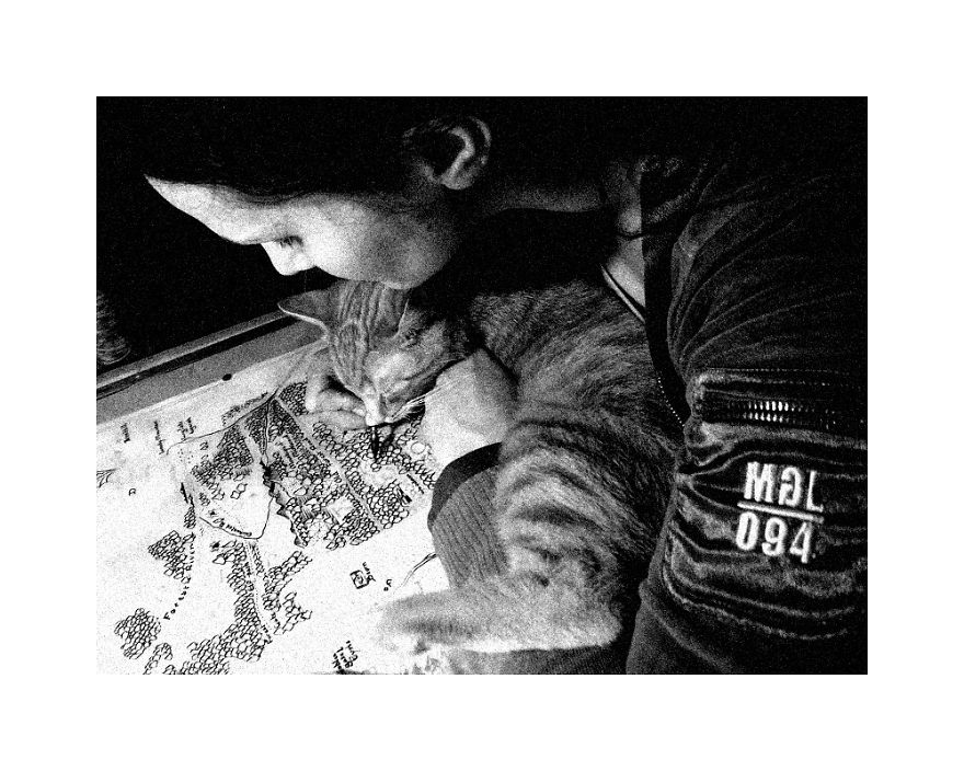 Helpful Paws In My Workshop #1