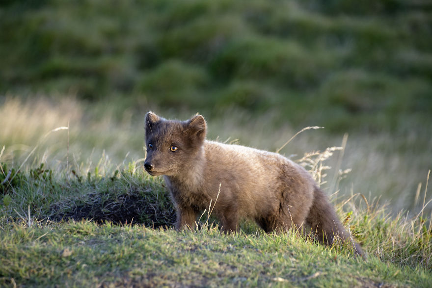 I Cannot Tell You How Beautiful Iceland Is. You Have 10+ Pictures To See It Yourself