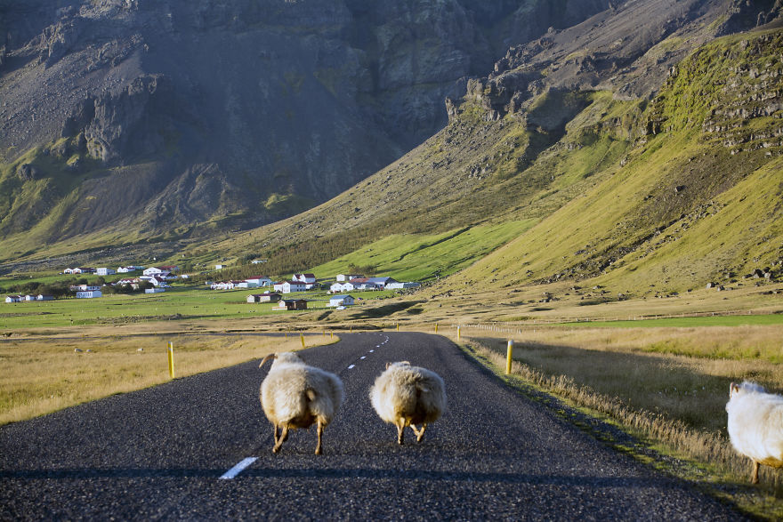 I Cannot Tell You How Beautiful Iceland Is. You Have 10+ Pictures To See It Yourself