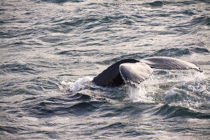I Cannot Tell You How Beautiful Iceland Is. You Have 10+ Pictures To See It Yourself I Cannot Tell You How Beautiful Iceland Is. You Have 10+ Pictures To See It Yourself