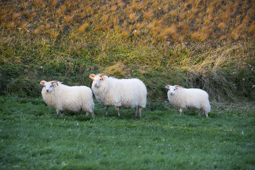 I Cannot Tell You How Beautiful Iceland Is. You Have 10+ Pictures To See It Yourself I Cannot Tell You How Beautiful Iceland Is. You Have 10+ Pictures To See It Yourself