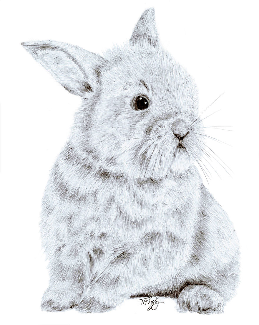 I Draw Animals With A Mechanical Pencil