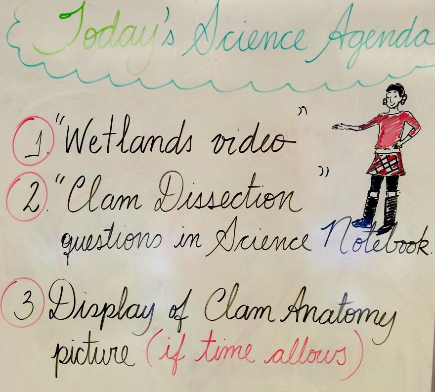 I Draw To Make Teaching More Interesting! I Draw To Make Teaching More Interesting!