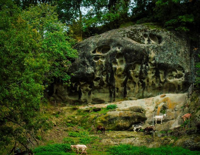 I Found These Strange Rocks With Alien-Like Faces On Them!