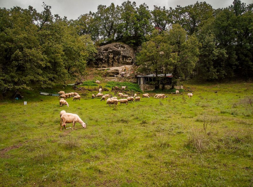 I Found These Strange Rocks With Alien-Like Faces On Them! I Found These Strange Rocks With Alien-Like Faces On Them!