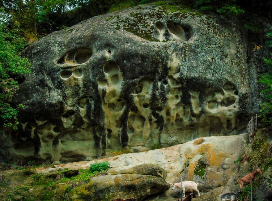I Found These Strange Rocks With Alien-Like Faces On Them! I Found These Strange Rocks With Alien-Like Faces On Them!