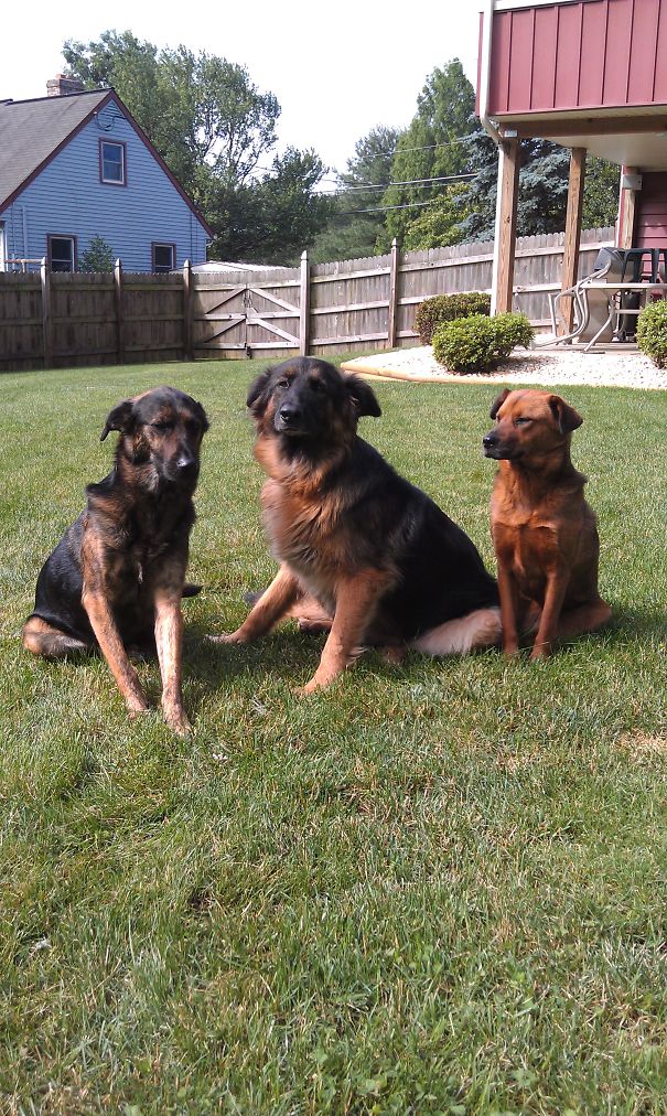 My Three Enjoying The Sunshine