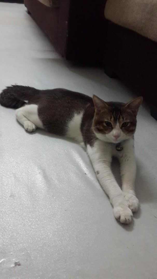 Are We Up To Masquerade Party Everyone?