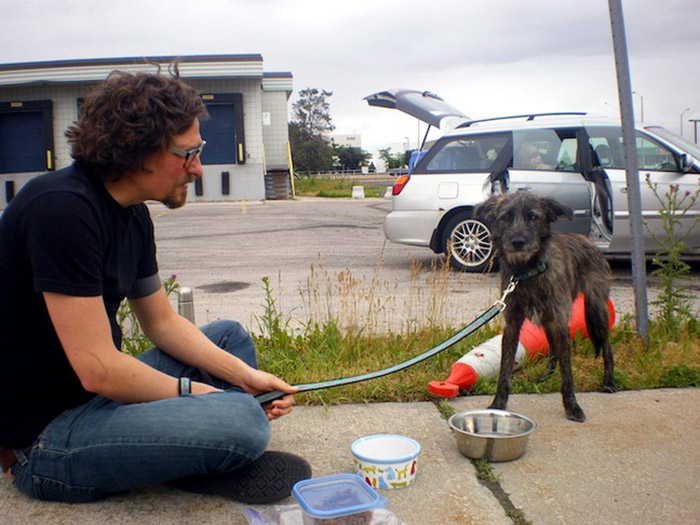 Rescued And Driven From Mexico To Bc; And Flown To Toronto - Meeting His New Bestie For The First Time