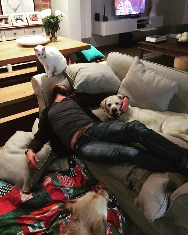 Everyone Wants Attention And A Spot On The Couch..