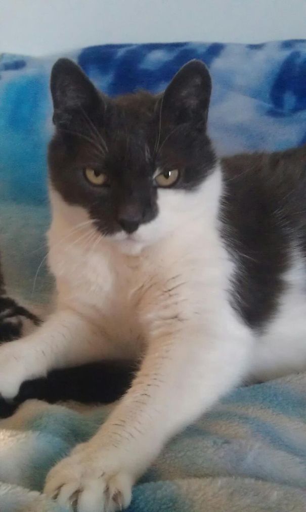 Meet Phantom Of The Opera...ivan