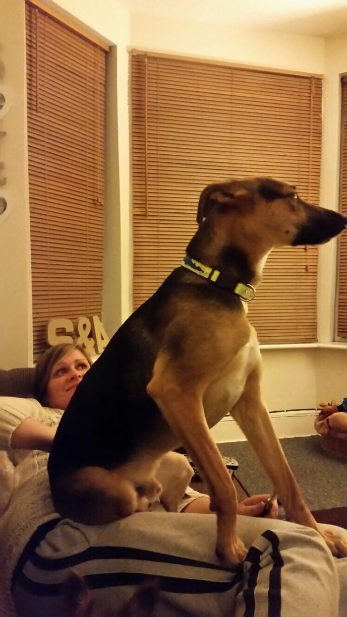 If You Gotta Lap Then I'm Gonna Sit In It