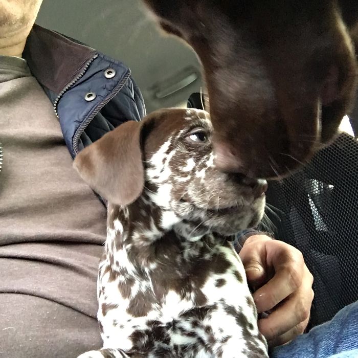 Mimi Joining The Pack, Sister From Another Mother For Mara