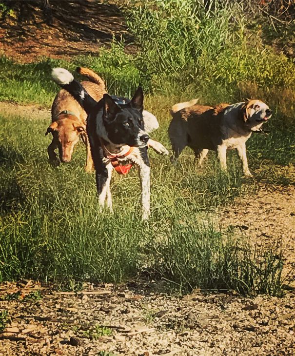 They Always Pose Gracefully For The Camera.