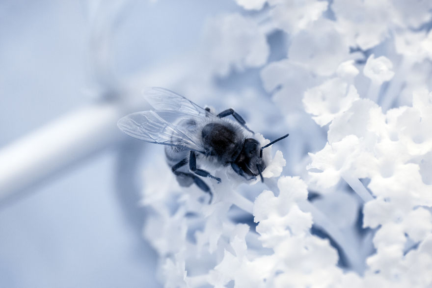 Landschaftspark, Duisburg