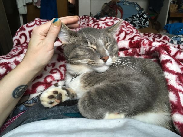 Hyde Has White Eyeliner Around His Eyes.