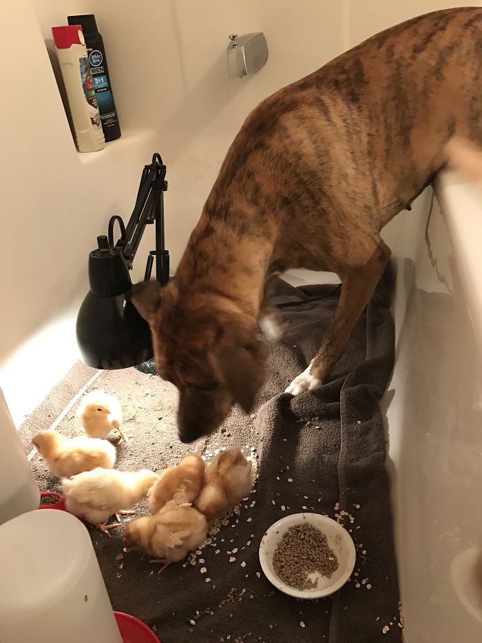 All Friends At Our House