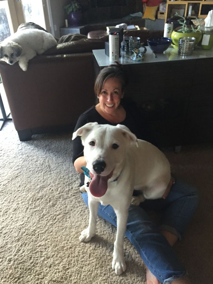 This Lap Sitter Wasn't Even Done Growing!