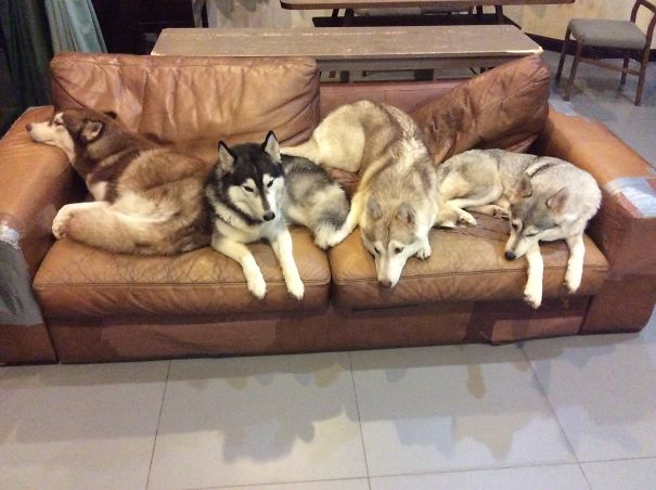 I Have To Sit On The Floor Watching Tv....every Night